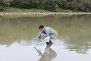 Toma de muestras de agua en el río Charter, donde aparecieron centenares de peces muertos.
